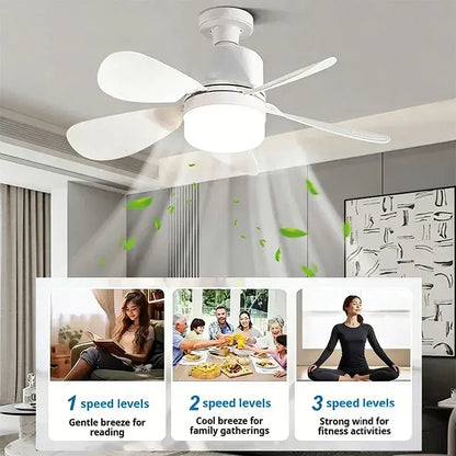 Fulnes™ Ceiling Fan with Light